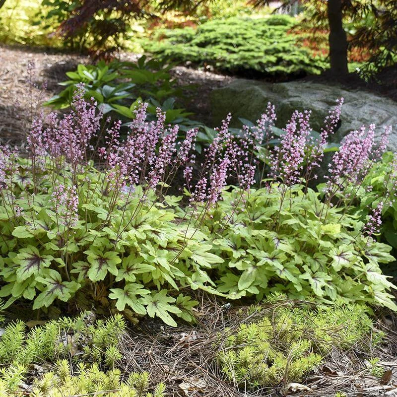 Fun And Games® 'Eye Spy' Foamy Bells 2 Fun And Games® 'Eye Spy' Foamy Bells - Image 2