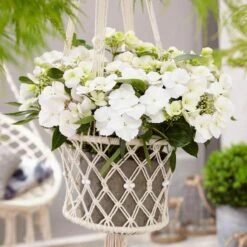 Fairytrail Bride™ Cascade Hydrangea™ 10 Fairytrail Bride™ Cascade Hydrangea™ -AURA Flower Shop fairytrail bride cascading hydrangea 5 sw